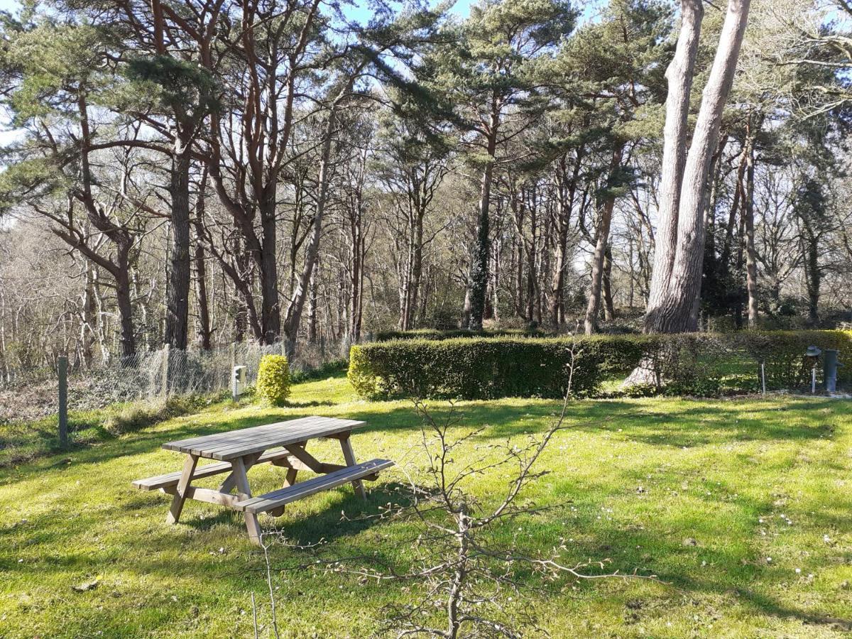 Camping Les Falaises De Toussaint Exteriör bild