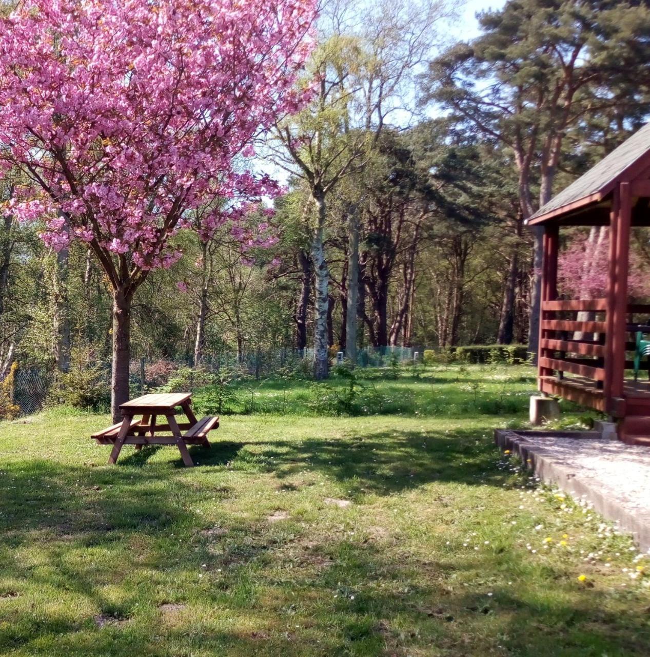 Camping Les Falaises De Toussaint Exteriör bild